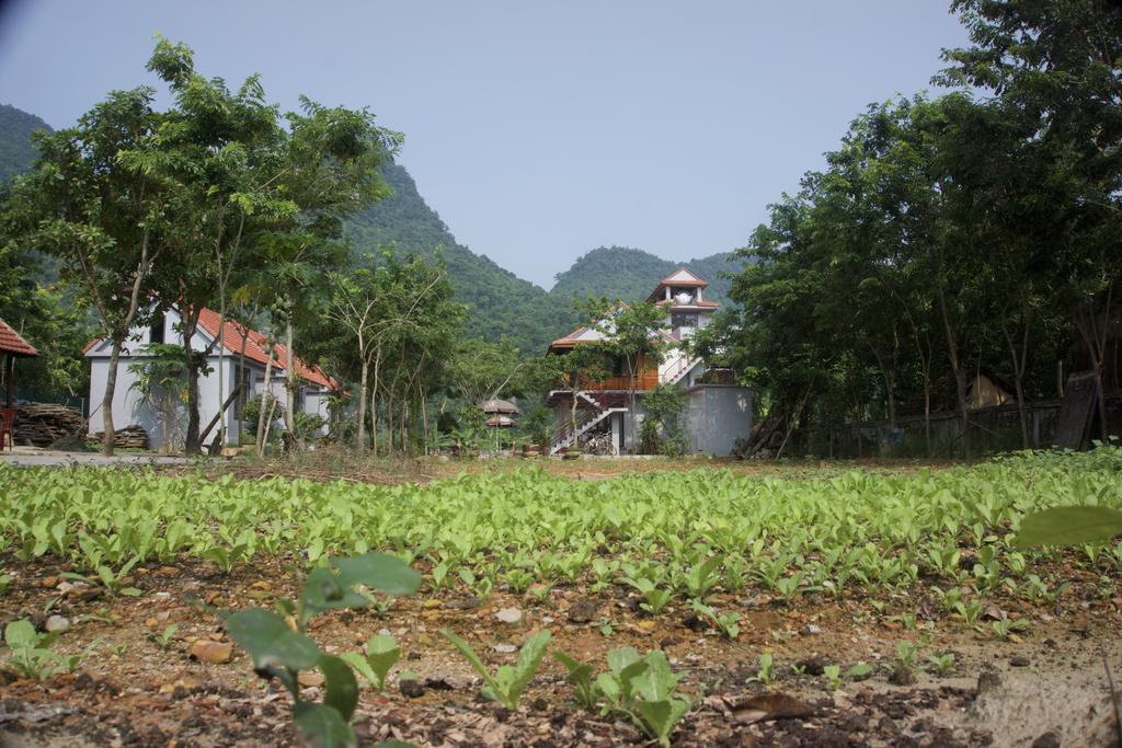 Ho Khanh'S Homestay 峰牙 外观 照片